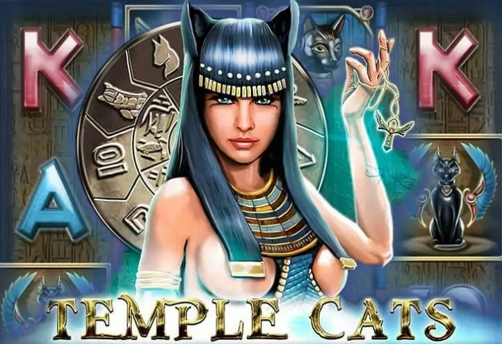 Temple Cats играть