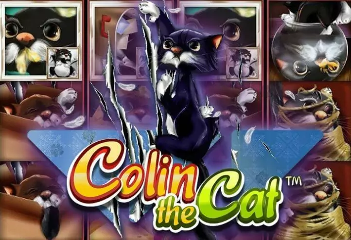 Colin the Cat casino slot