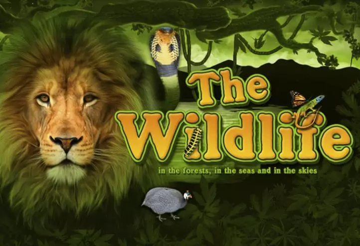 The Wildlife site logo
