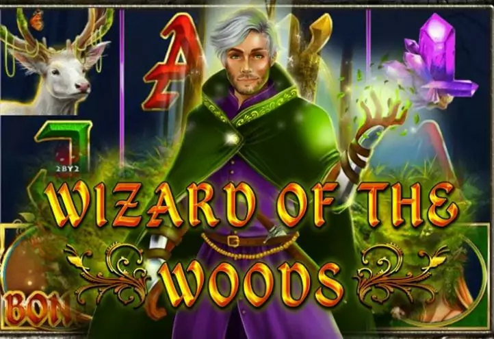 Wizard of the Woods играть